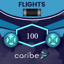 Awarded for completing 100 flights
