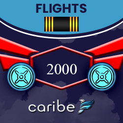 Awarded for completing 2000 Flights