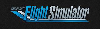 Microsoft Flight Simulator